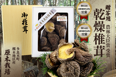 【お中元ギフト】農林水産大臣賞 受賞 槻木 大葉厚肉 乾燥椎茸 205g 026-0025-c