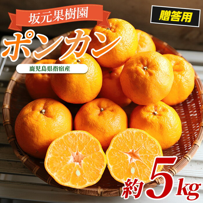 【ふるさと納税】＜2026年1月上旬以降順次発送＞数量限定！みかん農家 坂元さんちのポンカン 贈答用(約5キロ、化粧箱・サイズおまかせ) 鹿児島 ポンカン ぽんかん 果物 くだもの フルーツ 柑橘 贈答用 ギフト 贈り物 化粧箱 いぶすき【坂元果樹園】