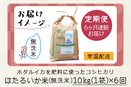 ほたるいか米　米定期便 コシヒカリ10kg 6か月 無洗米10kg [I-021003]
