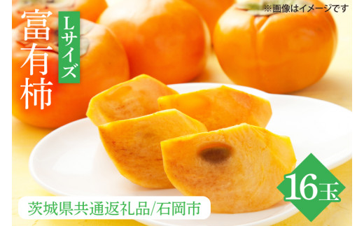 【2026年10月下旬より順次発送】【数量限定】富有柿 L 16玉【茨城県共通返礼品/石岡市】【水戸市 茨城県 カキ 柿 フルーツ 果物 くだもの 富有柿 ジューシー 甘い】（IU-9）