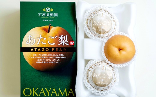 あたご梨 3玉 合計約1.5kg