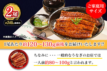 ＜2025年10月お届け＞うなぎ 鰻楽 国産 蒲焼 ご家庭用 2尾 計240g以上（120g×2尾）おすすめ 冷凍 簡単調理 個包装 鰻 魚介【B666-2510】