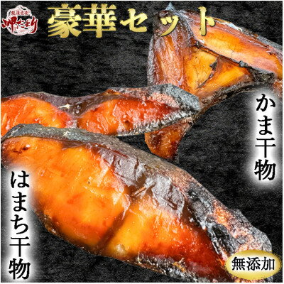 【ふるさと納税】岬だよりの 豪華!はまち干物・かま干物セット 10袋【配送不可地域：離島】