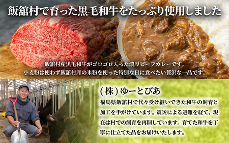 飯舘産黒毛和牛カレー　10食セット ITTAH002
