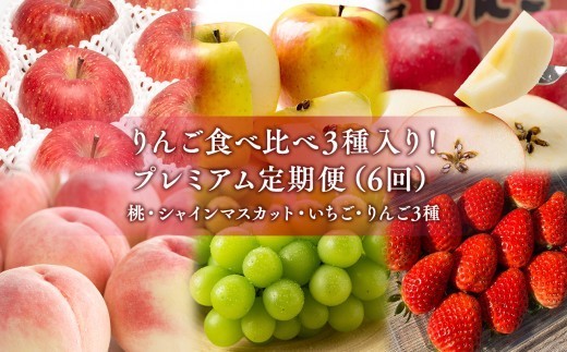 
                  りんご食べ比べ3種入り！プレミアム定期便6回(桃・シャインマスカット・りんご3種)【hi-0999-014】
                