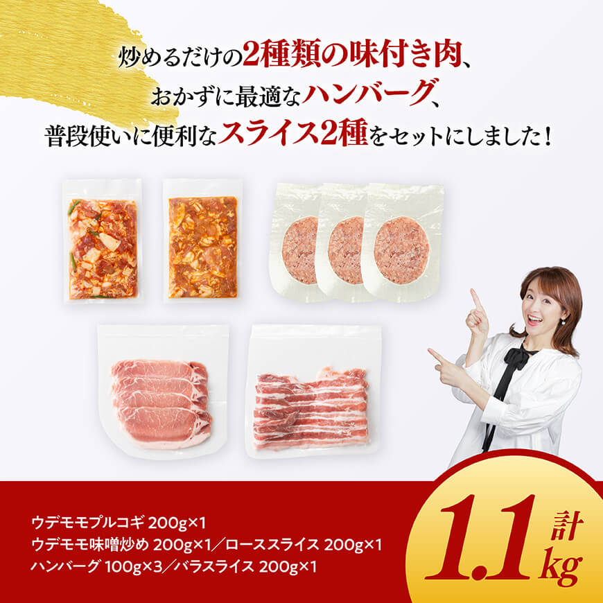 「まるみ豚」宮崎県産豚肉　人気セット　計1.1kg  豚肉 豚 肉 国産 川南町 ウデ モモ ハンバーグ ローススライス バラスライス [D11512]