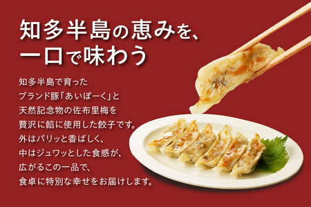 知多の梅しそ餃子 餃子 愛知県産 ご当地餃子 国産 生餃子 梅 梅しそ おかず ぎょうざ ギョウザ 冷凍食品 お惣菜 豚肉 中華 点心 お取り寄せ おつまみ 国産野菜 贈答用 便利 焼くだけ お手軽 