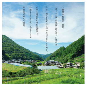 MOTO Wine Chikusa Rouge | 赤ワイン お酒 マスカット ベーリーA 兵庫県 上郡町