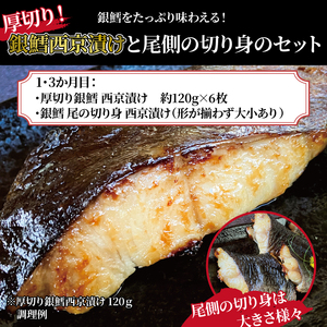 【3か月定期便】厚切り銀鱈西京漬と尾の身×2回＆骨抜き西京漬け花子×1回
