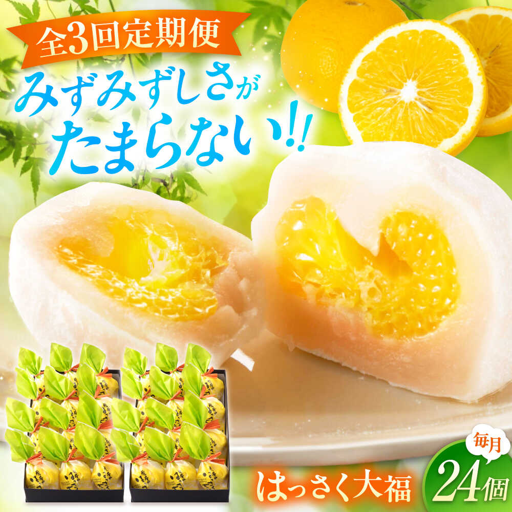 【ふるさと納税】【3回定期便】お菓子 はっさく大福12個入×2　 お菓子 大福 八朔 柑橘 みかん オレンジ 餅 ギフト お取り寄せ スイーツ フルーツ大福 ご当地 菓子 おかし デザート 食品 人気 おすすめ 広島県福山市/株式会社虎屋本舗[BADH018]