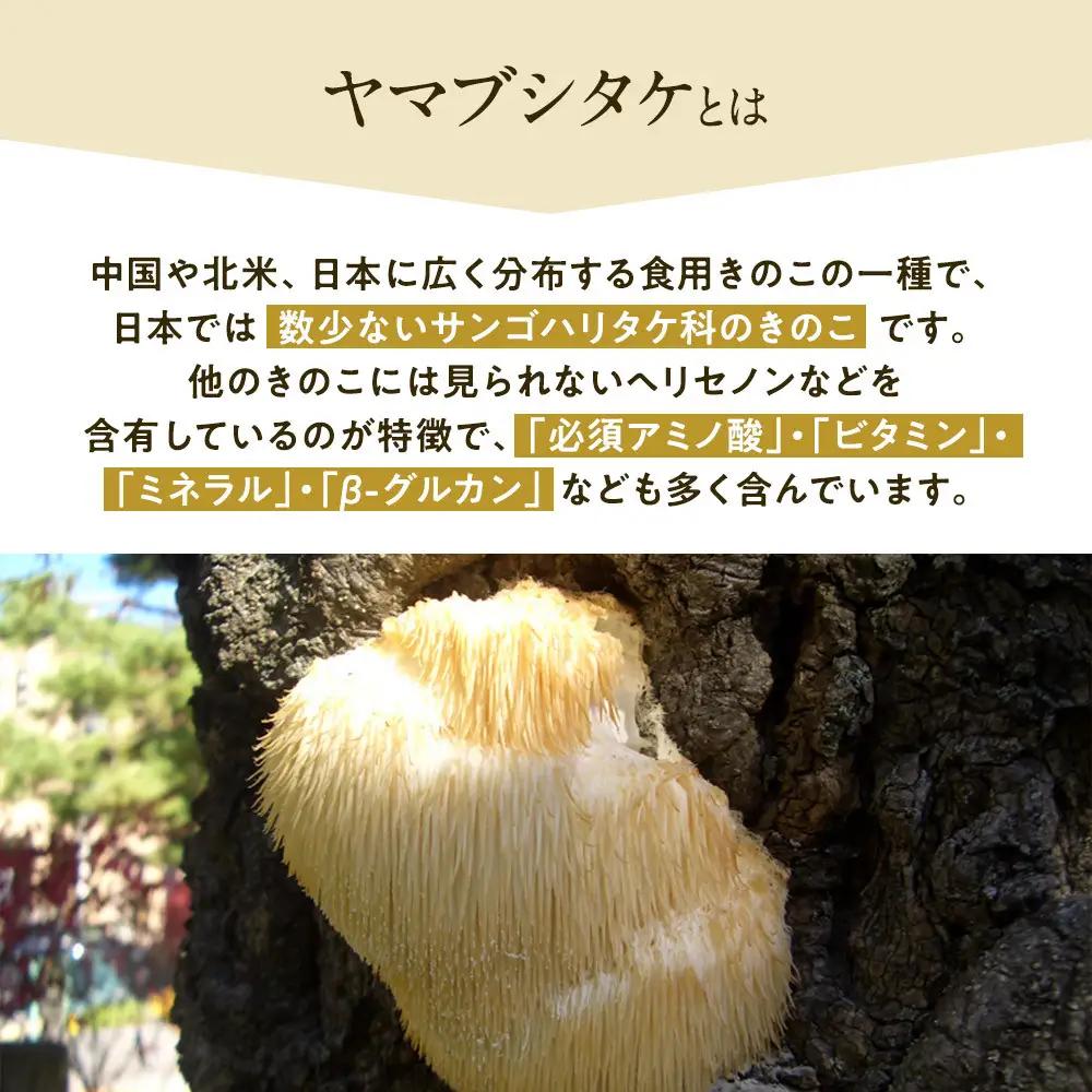 【定期便】ホクトのヤマブシタケ　記憶の素 《 6ヵ月連続お届け 》 | サプリメント サプリ 健康