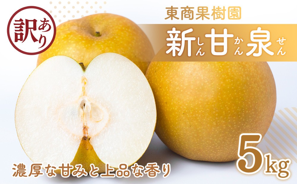 
                  東商果樹園 新甘泉 (訳あり) 5kg【8月下旬以降お届け】
                