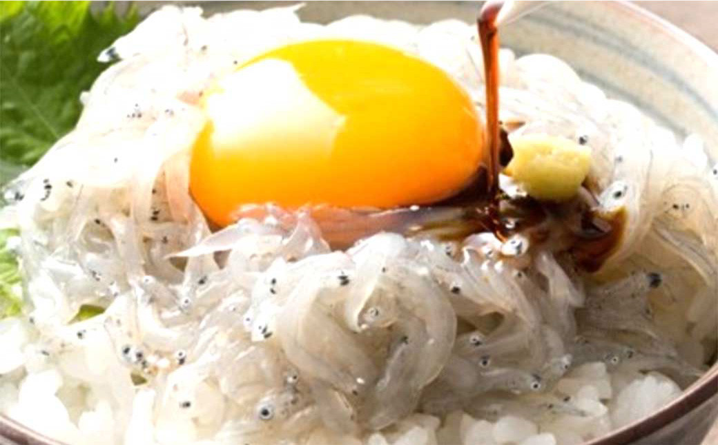 高知産「生シラス」イワシ稚魚 約100gx5パック（タレ付）