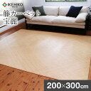 【ふるさと納税】継続生産籐カーペット　宝麗200×300cm おすすめ 福岡県 大木町 株式会社イケヒコ・コーポレーション AA339