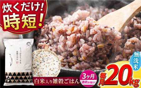 【全3回定期便】 水研ぎ不要 雑穀ごはん 無洗米 20kg 【株式会社 農産ベストパートナー】[ZBP154]