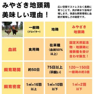 【宮崎県諸塚村】みやざき地頭鶏 1羽丸鶏セット【配送不可地域：離島】【1481706】