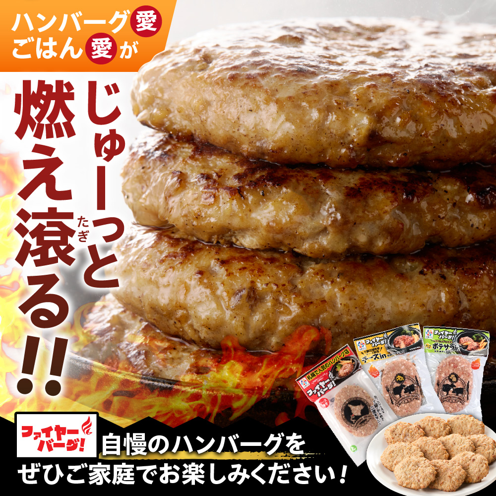 【定期便3回】ファイヤーバーグお試し定期便