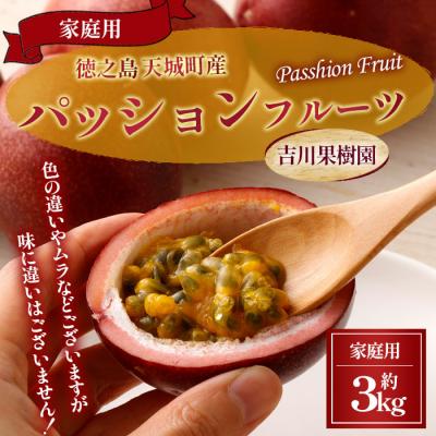 ふるさと納税 天城町 【2026年発送】徳之島 天城町 吉川果樹園 パッションフルーツ 家庭用 3kg トロピカルフルーツ