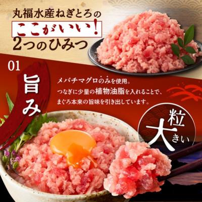ふるさと納税 三浦市 三崎の本格派ねぎとろ 計500g |  | 01