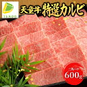 【ふるさと納税】天童牛 特選 カルビ 三角ばら 600g国産 黒毛和牛 和牛 牛肉 ブランド牛 山形牛 超希少部位 贈答用 お中元 お歳暮 ギフト プレゼント お取り寄せ ご当地 グルメ 食品 冷凍 ( 冷蔵 ) 送料無料【山形県 天童市】