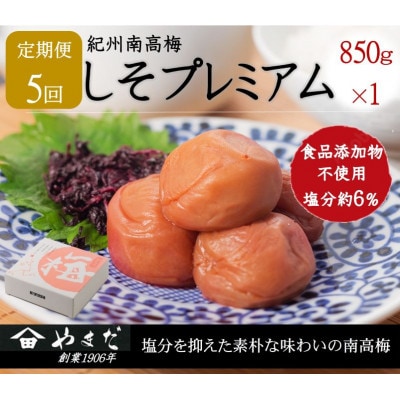 【2ヵ月毎定期便】紀州南高梅しそプレミアム塩分約6%(850g)全5回