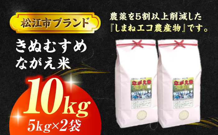 【令和7年産】炊きたてが美味しい！ 松江市産きぬむすめ「ながえ米」10kg(5kg×2) 島根県松江市/有限会社藤本米穀店 [ALCG001]
