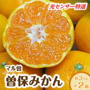 【ふるさと納税】【先行予約】 みかん 曽保みかん 光センサー選別 約3kg×2箱 L～Sサイズ フルーツ 果物 果実 柑橘 デザート スイーツ 甘い 糖度 果汁 常温 食品 国産 香川県 三豊市 お取り寄せ 送料無料 12000円