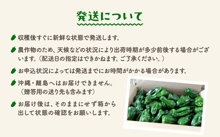 【訳あり】【先行予約】ピーマン 2kg JGAP取得 福島県産 田村市