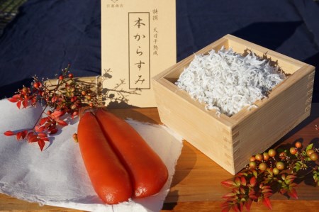 本 からすみ 100g以上 ［ 高級珍味 ］ 須崎獲れ 釜揚げ しらす 1kg 便利 小分けパック 100g×10パック セット 詰め合わせ 宮進商店謹製 国産 高級珍味 無添加 産地直送 高知県 須崎市