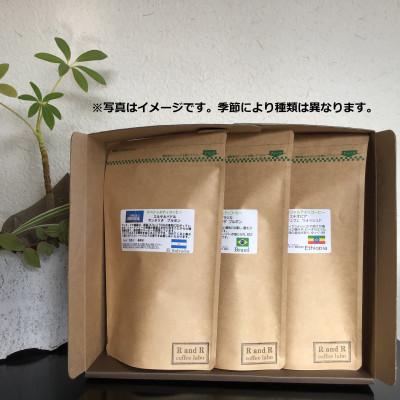 ふるさと納税 諫早市 自家焙煎スペシャルティコーヒーおまかせセット　ハイグレード(豆のまま)