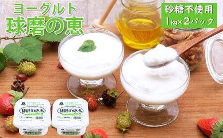 ヨーグルト 球磨の恵ヨーグルト 無糖 プレーン ヨーグルト【1kg×2パック】