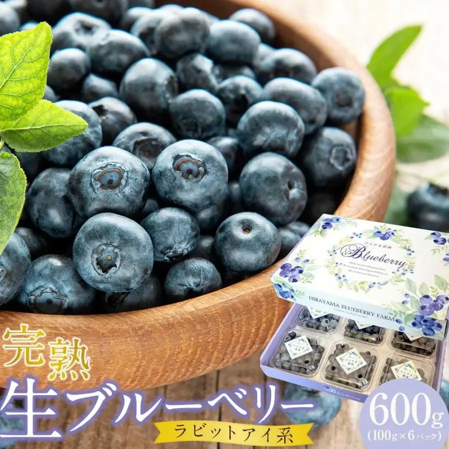 【先行予約】完熟生ブルーベリー ラビットアイ系 600g (2027年発送) | フルーツ 果物 ベリー