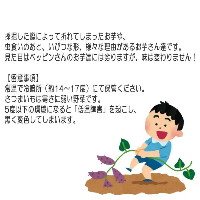 【訳あり】紅はるか20kg No.408