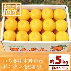＜先行予約＞＼数量・期間限定／池之上果樹園 の 旬 の ポンカン 化粧箱入り 約5kg（約24～30玉）鹿児島県産 ぽんかん～2025年12月上旬頃より順次発送予定～ 果樹【A-2015H】