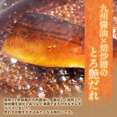 ふるさと納税 福智町 骨取り鯖の煮付け(しょうゆ&みそ) 各2パック |  | 02