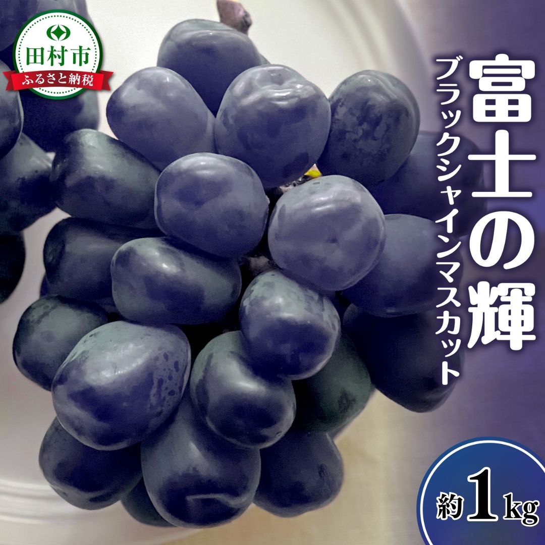 【ふるさと納税】 【先行予約】富士の輝 約1kg シャインマスカット ブドウ 冷蔵 高級 家庭用 種無し 種なし 皮ごと ぶどう 品種 果物 フルーツ 甘い 巨峰 ウインク 交配 マスカット 美味しい ジューシー 大粒 希少 人気 食べ方 福島県 田村市 鈴木農園 でんじろうさん
