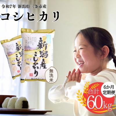 ふるさと納税 三条市 [定期便] 無洗米 コシヒカリ 10kg6か月 三条市令和7年産 白熊【081S004】