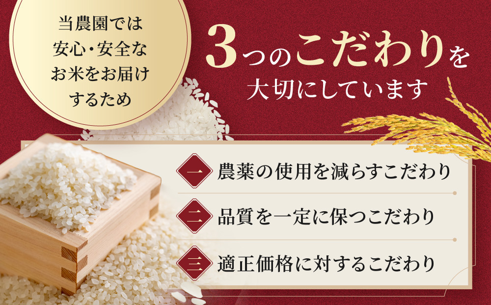 【１か月以内発送】令和7年産　ゆめぴりか 玄米 5kg×2袋_05844