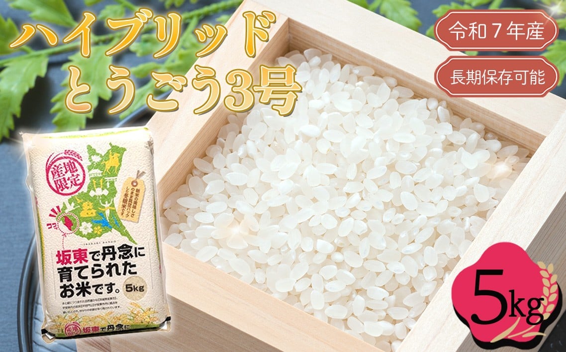 
            「令和7年産米」ハイブリッドとうごう3号　5kg【長期保存可能！】 ／ 令和7年 新米 米 お米 こめ コメ 精米 白米 ご飯 国産米 5kg 5キロ ハイブリッドとうごう3号 大粒 真空 真空パック 長期保存 備蓄 買い置き 年中新米 おすすめ 人気 おいしい お取り寄せ 産地直送 産直 坂東市産 茨城県産 茨城産 茨城県 特産品 No.760
          