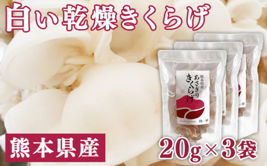 熊本県産　白い乾燥きくらげ20g×3袋　【キクラゲ / 木耳 / 国産】