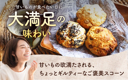 【全12回定期便】厳選おすすめ スコーン 12個セット 焼き菓子 焼菓子 お菓子 冷凍 個包装 沖縄市 / ZEBRA.Bagel[BCAE013]