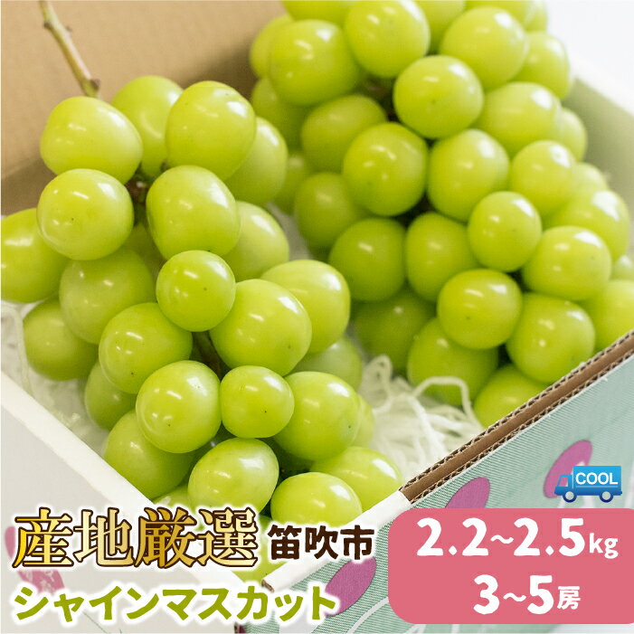 【ふるさと納税】【2026年発送★先行予約】 産地厳選シャインマスカット　2.2キロ〜2.5キロ(3〜5房)　山梨 やまなし フルーツ 笛吹 ふえふき ぶどう 葡萄 ブドウ 甘い ※沖縄県及び離島への配送はできませんので予めご了承ください。