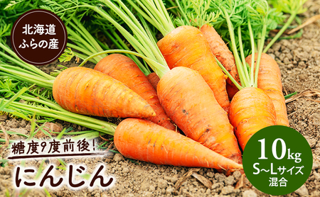 【2026年夏～発送】富良野産 にんじん 約10kg  S～Lサイズ混合 野菜 人参 道産