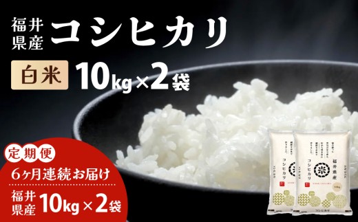 【定期便6回】福井県産 コシヒカリ 精米 20kg（10kg×2）＜令和7年産＞【米 コメ お米 精米 白米 無洗米 玄米 ご飯 飯 こしひかり ブランド米 国産】[095-t06-a203]