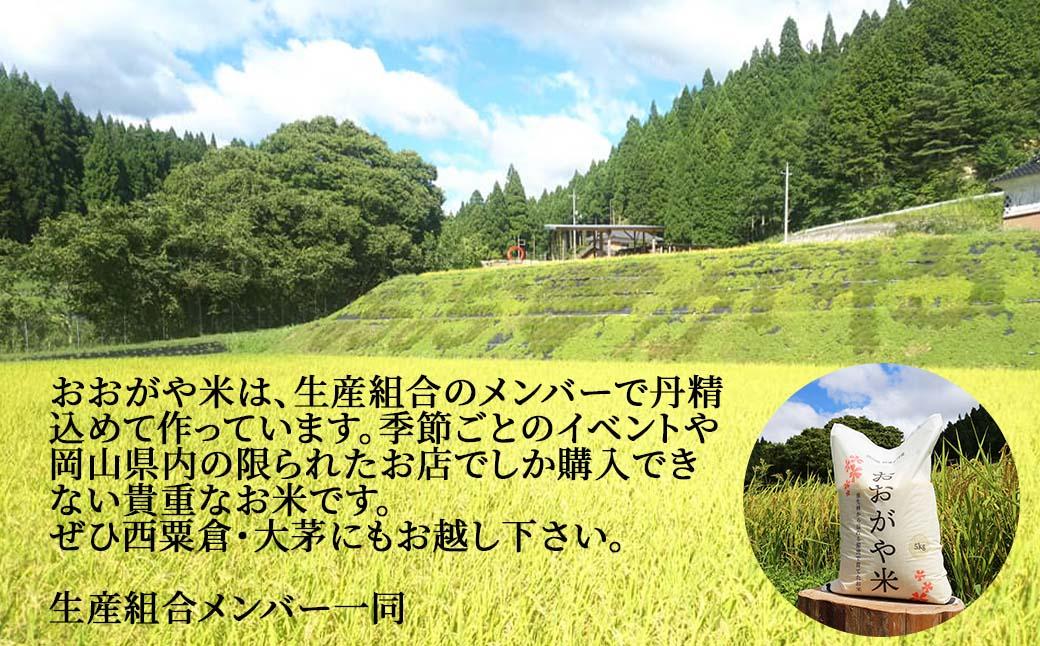 《令和7年産新米受付開始》【3回定期便】白米 10kg 令和7年産 コシヒカリ 岡山 「おおがや米」生産組合 G-ag-BEFA