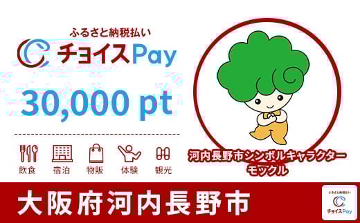 
            河内長野市チョイスPay 30,000pt【会員限定のお礼の品】
          