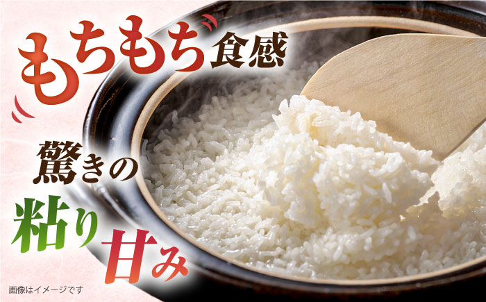 【 6回 定期便 】 ミルキークイーン 5kg 《糸島》 【玄米・精米専門店 新飼宗一郎商店】 [ADE005]