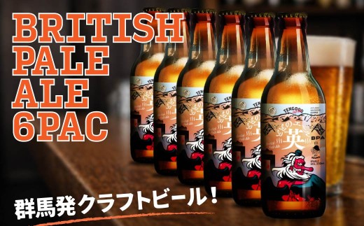 クラフトビール ととのエール（英） 6本セット | ビール お酒 クラフトビール 地ビール テングビール ペールエール ブリティッシュペールエール 瓶ビール オリジナルビール 苦味 ビター 甘み プレゼント ギフト 詰め合わせ 家飲み 宅飲み 晩酌 前橋市 群馬県