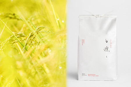 【令和7年産新米】南魚沼君沢産こしひかり 白燦々5kg（BL品種）