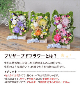 【うさぎ】アニマルフラワー